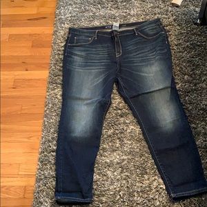 Ava & Avi jeans size 20W